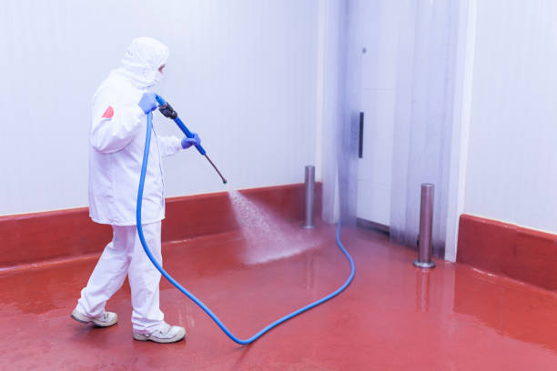 Professional Pressure Washing Services in Brockport, NY