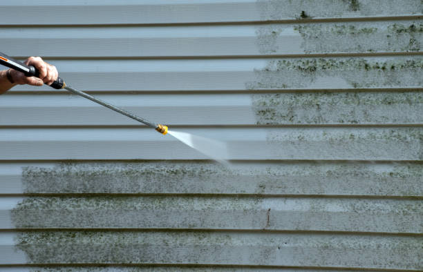 Best Building Exterior Washing  in Brockport, NY